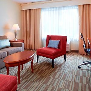 Large One-Bedroom Suite
